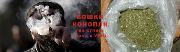 дурь Бородино