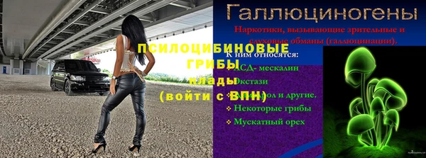 дживик Богородск
