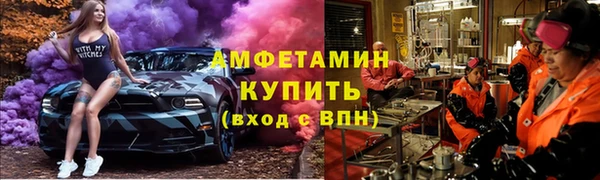 дурь Бородино