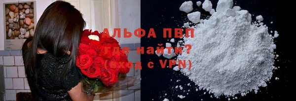 дурь Бородино